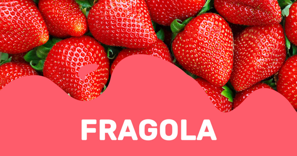 Fragola: rossa, dolce e irresistibile