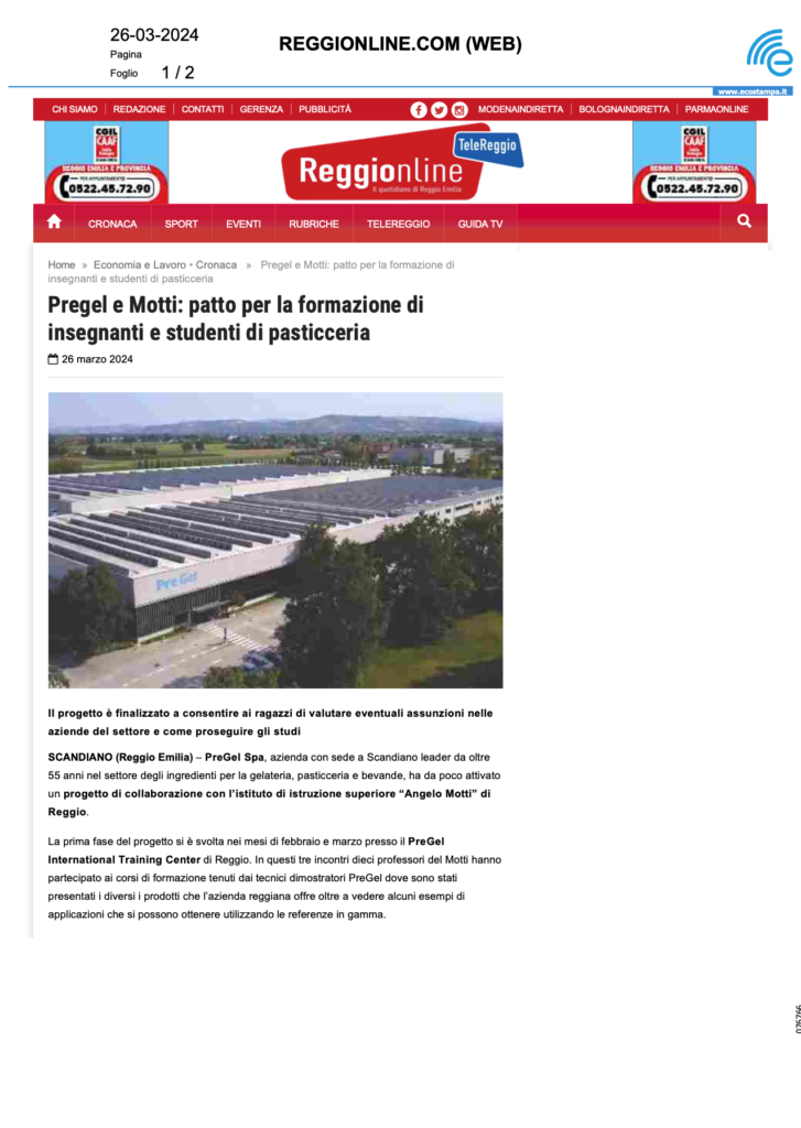 Reggio online